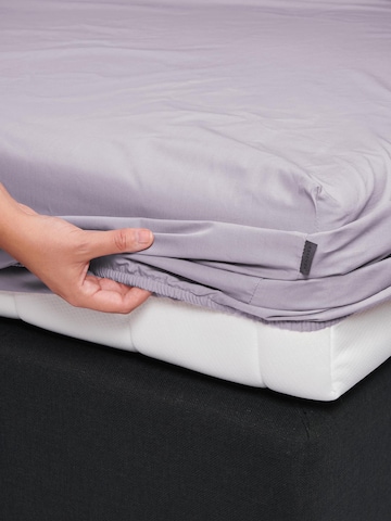 ESSENZA Bed Sheet 'Minte' in Purple