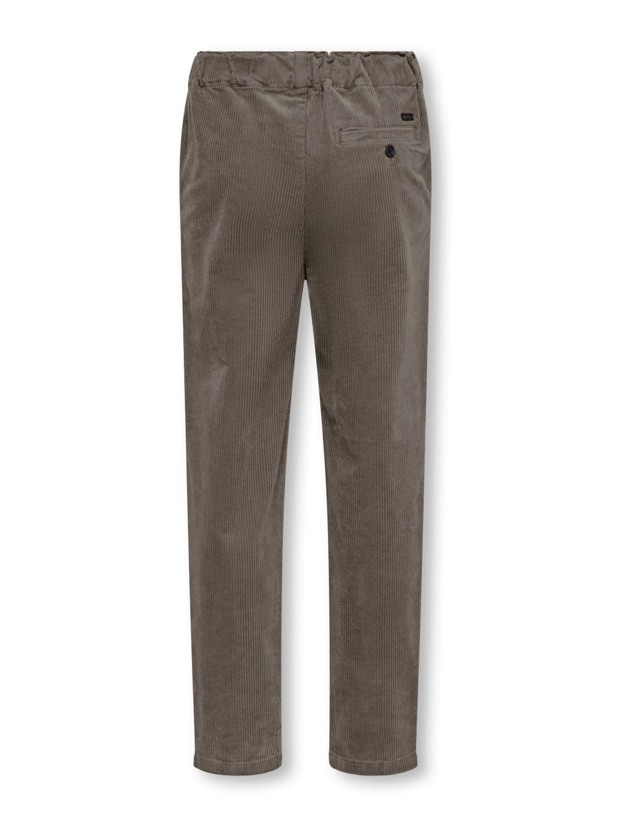 Only & Sons Junior Regular Broek 'OSJLINUS ALARIC' in Bruin