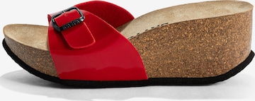 Bayton Puukengät & Crocks-jalkineet värissä punainen: etupuoli