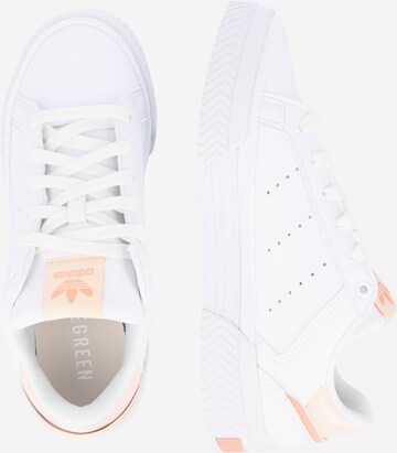 Baskets basses 'Court Tourino' ADIDAS ORIGINALS en blanc