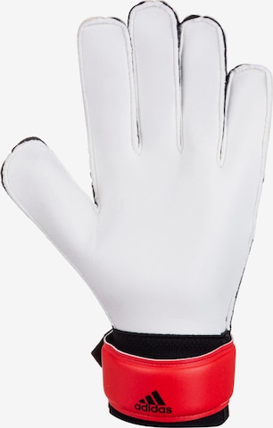 ADIDAS PERFORMANCE Athletic Gloves 'Predator' in Red