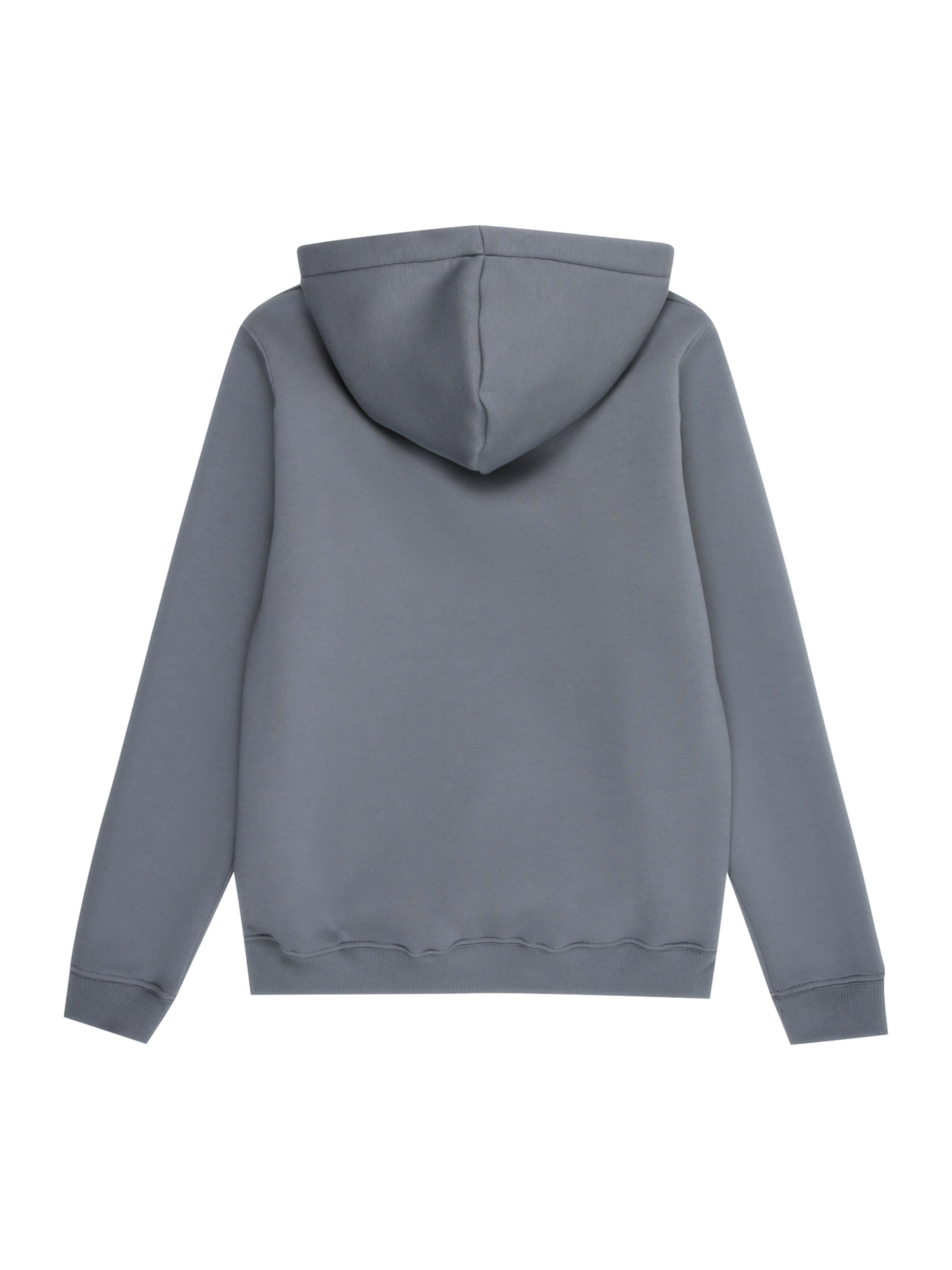 Felpa di ALPHA INDUSTRIES in grigio