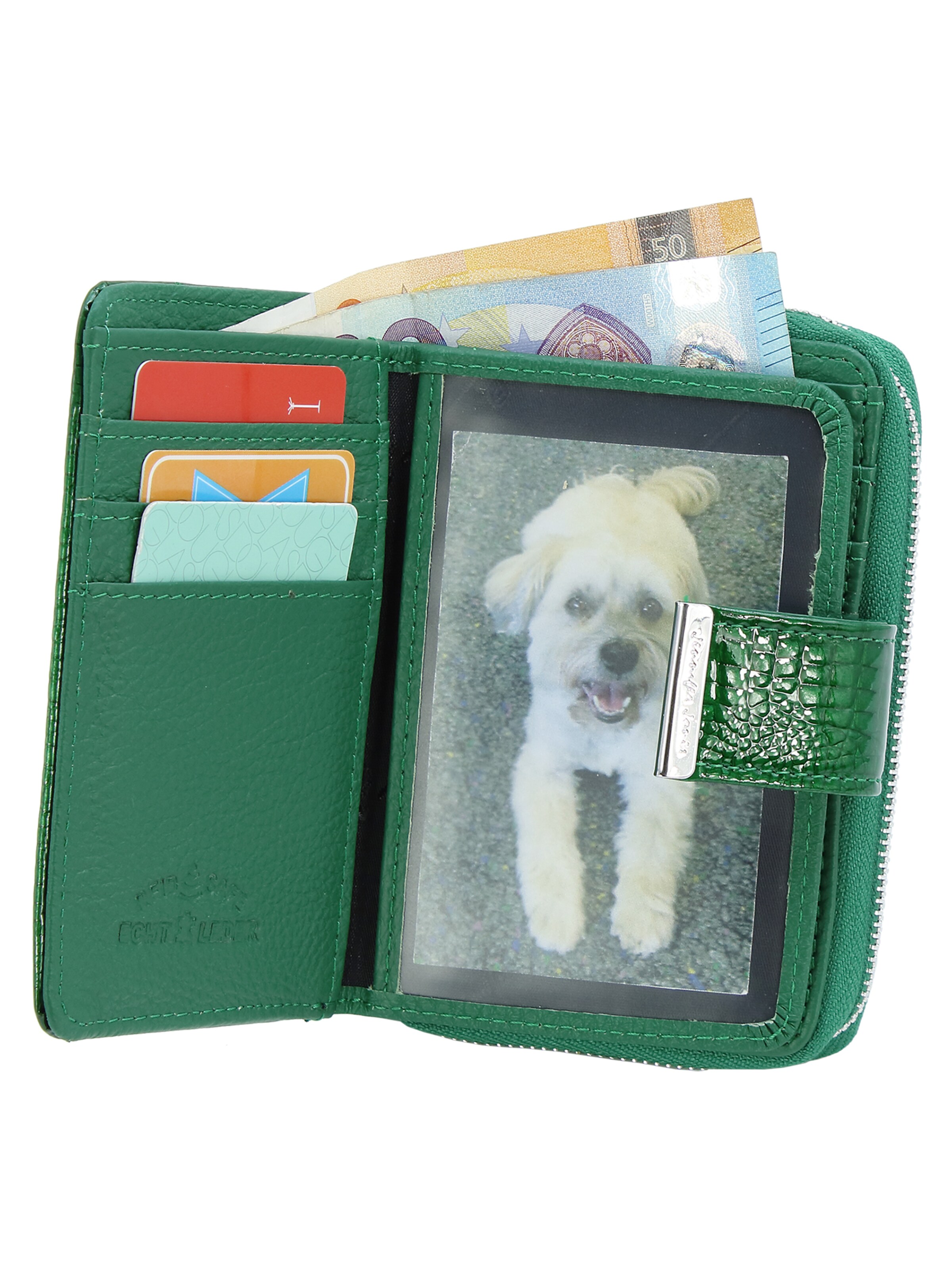 Jennifer Jones Wallet in Green