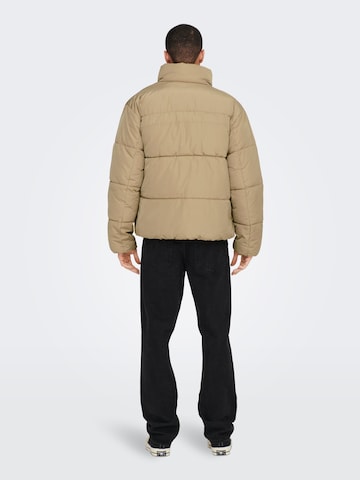 Only & Sons Winter jacket 'Everett' in Brown