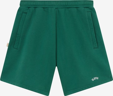 BLKVIS Normální Kalhoty – zelená: přední strana