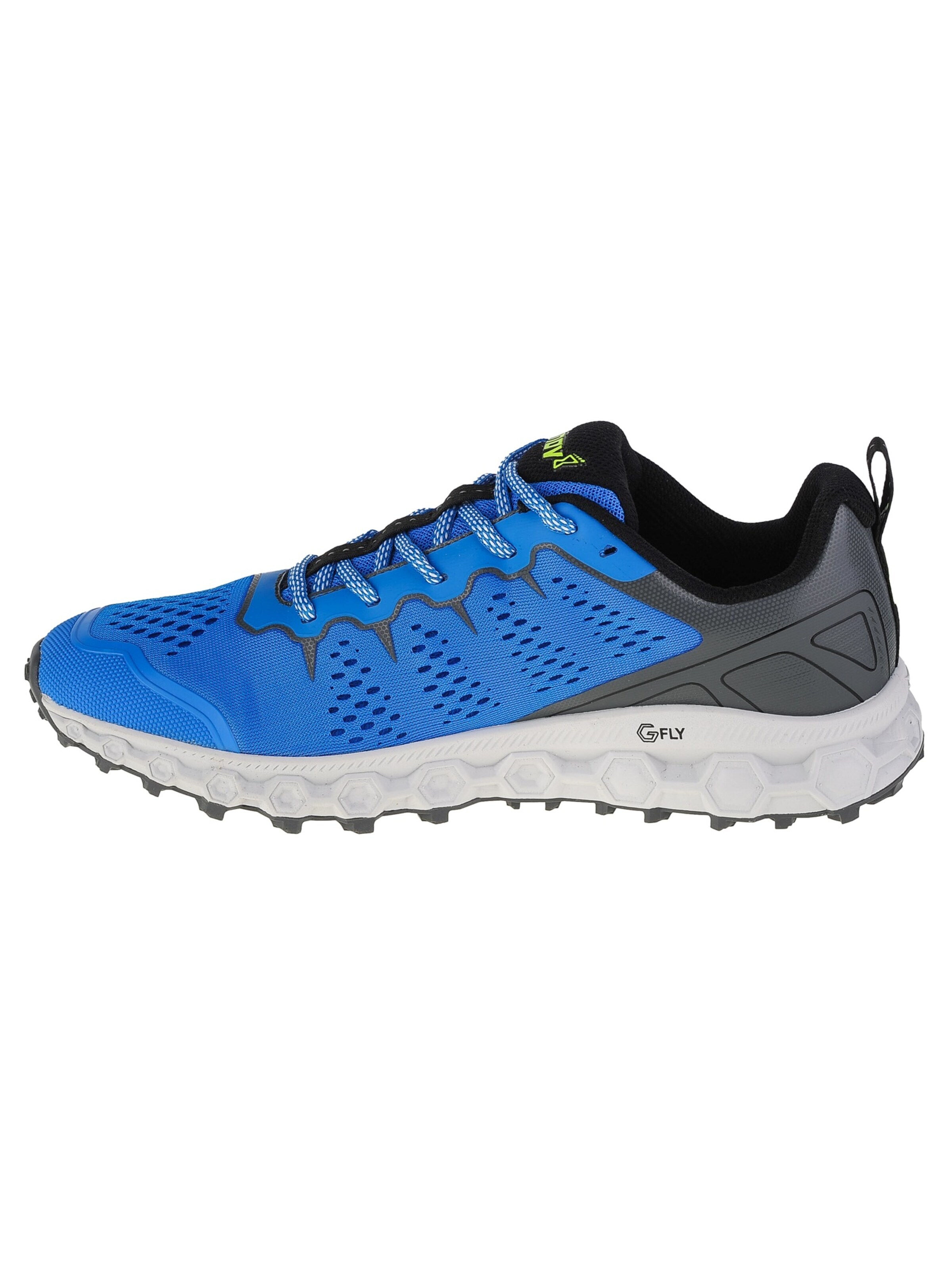 Inov-8 Low shoe 'Parkclaw G 280' in Blue