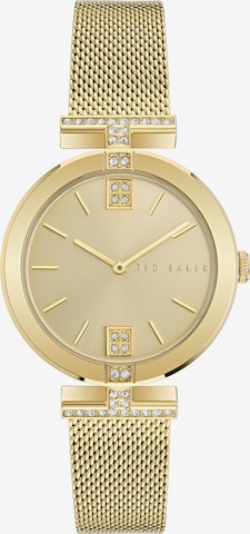 Ted Baker Analog Watch 'Darbey' in Gold: front