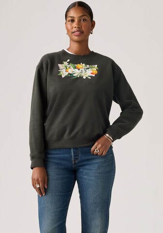 LEVI'S ® Sweatshirt 'Annessa' in Grau: Vorderseite