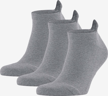 Calzino di FALKE in grigio: frontale