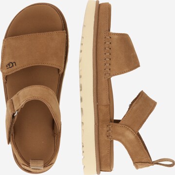 UGG Σανδάλι 'Goldenstar' σε καφέ