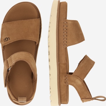 UGG Sandale 'Goldenstar' in Braun