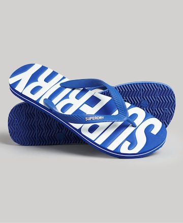 Superdry T-Bar Sandals in Blue