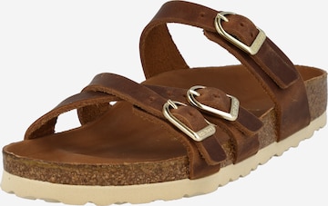 BIRKENSTOCK Nizki natikači 'Franca' | rjava barva: sprednja stran