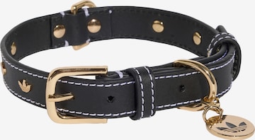 ADIDAS ORIGINALS - Acessórios para animais 'PET' em preto: frente