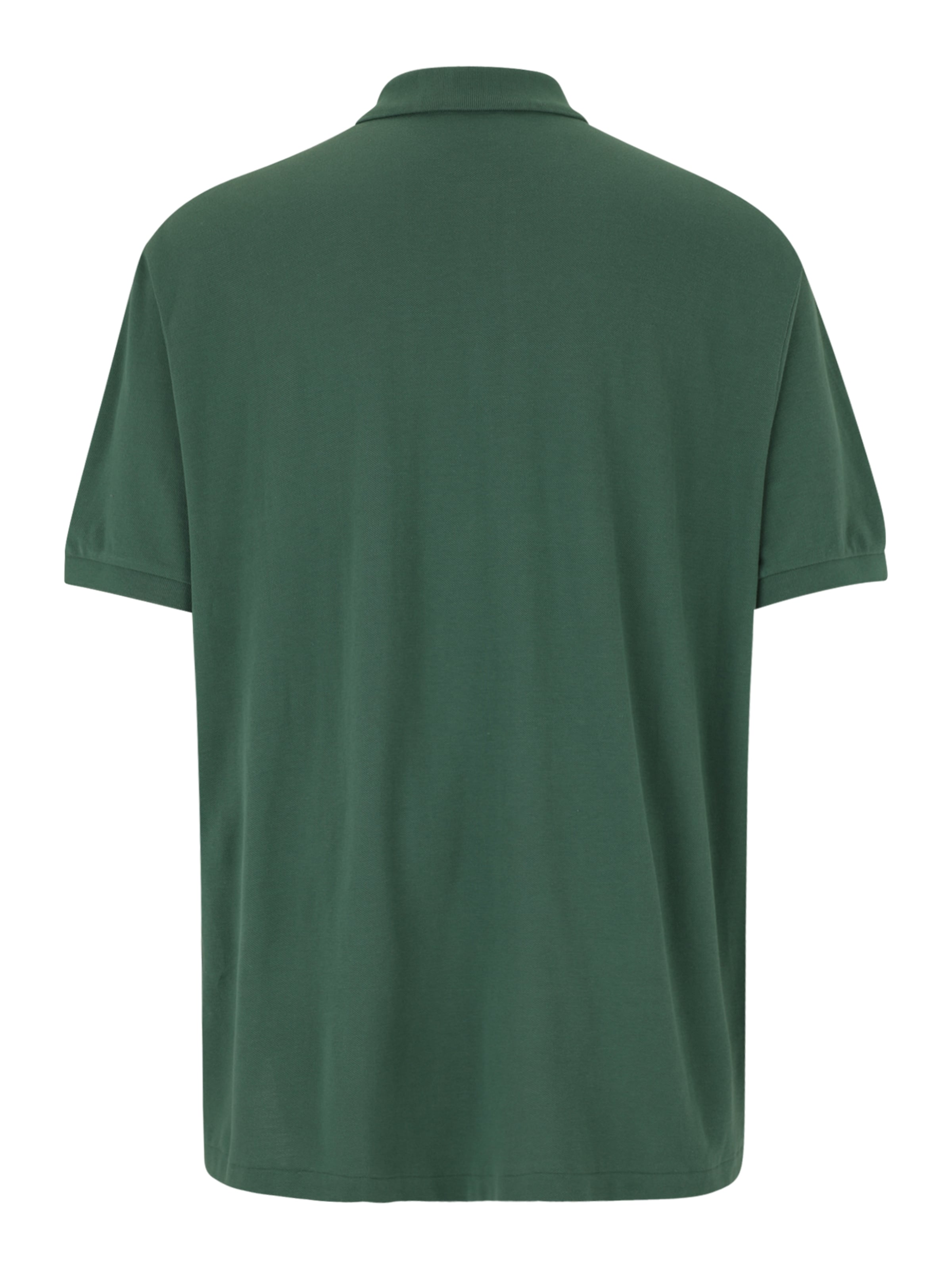 Polo Ralph Lauren Big & Tall Футболка в Зеленый