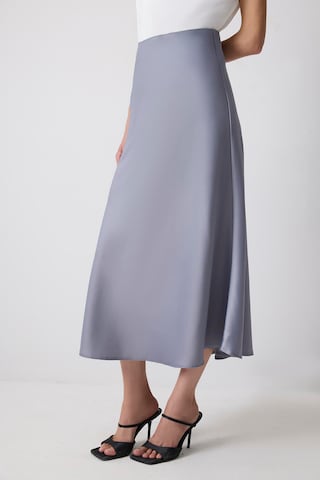 Touche Prive Skirt in Grey: front