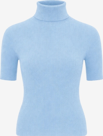 Pull-over PANTHEROAR en bleu : devant