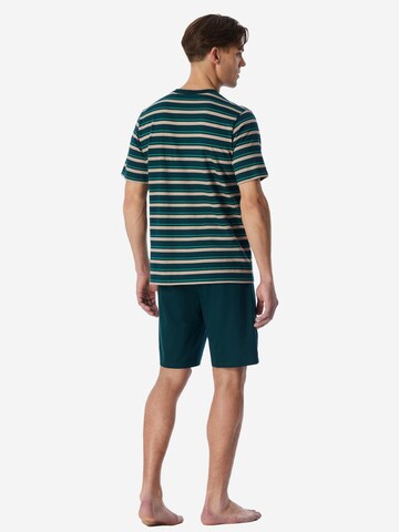 SCHIESSER Short Pajamas 'Casual Nightwear' in Green