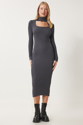 Happiness İstanbul Kleid in Grau