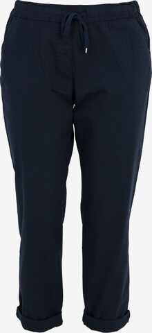 Paprika Chino Pants in Blue: front