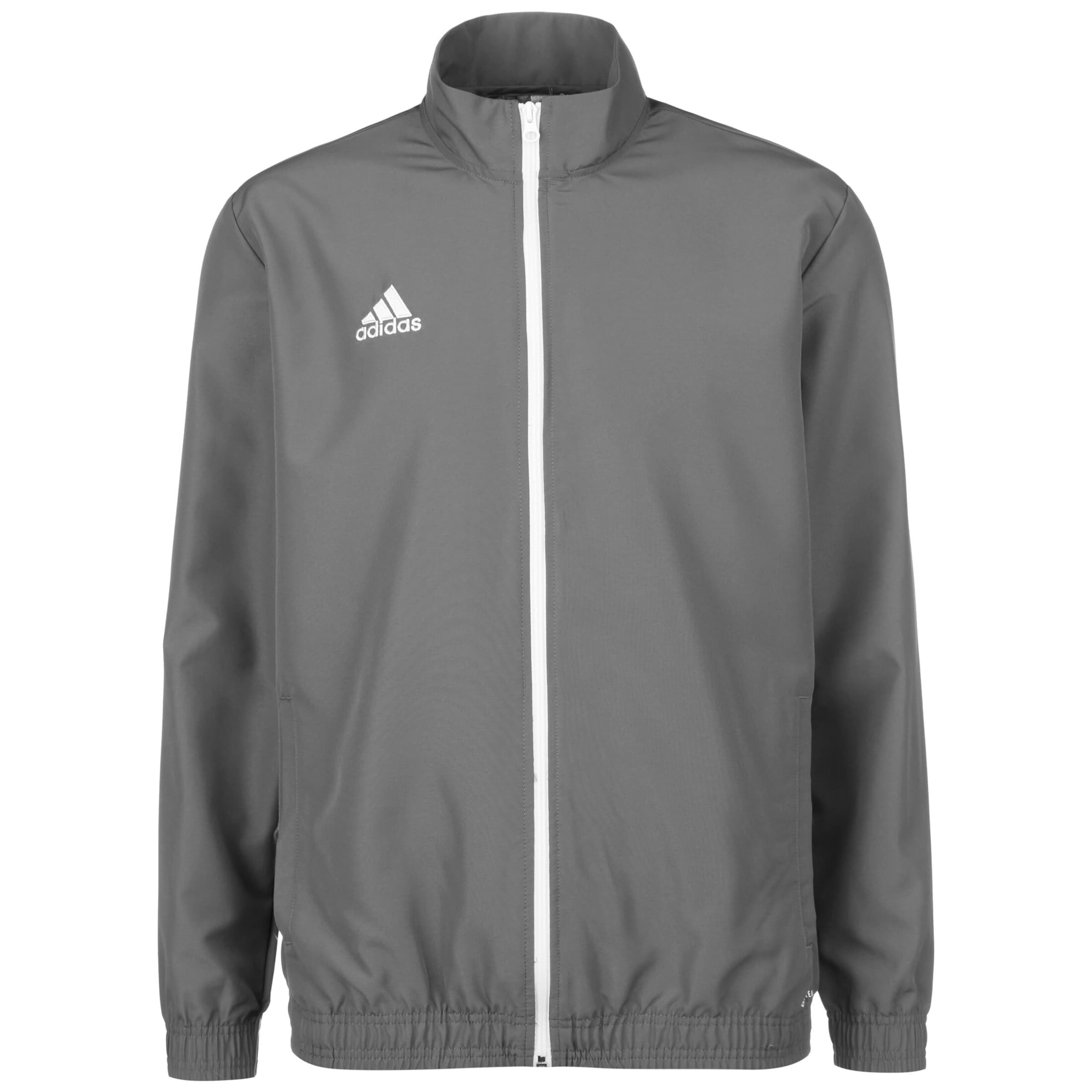 Veste de sport 'Entrada 22' ADIDAS PERFORMANCE en gris : devant