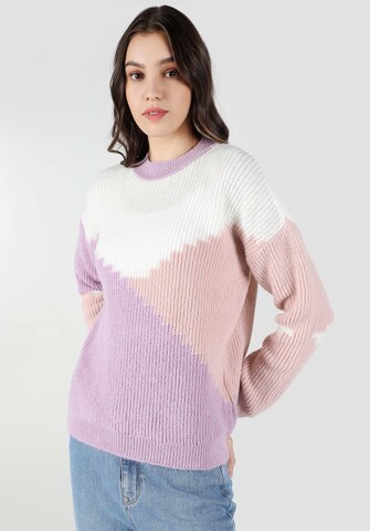 Colin's Sweater in Purple: front