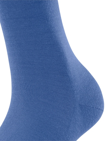 FALKE Knee High Socks in Blue