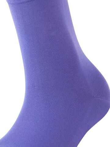 FALKE Socken 'Cotton Touch' in Lila