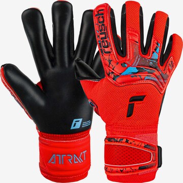 REUSCH Athletic Gloves 'Attrakt Duo' in Red: front
