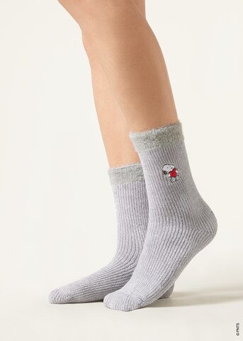 CALZEDONIA Socken 'PEANUTS | SNOOPY' in Grau: Vorderseite