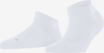 Chaussettes FALKE en blanc : devant