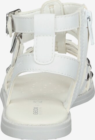 GEOX Sandals in White