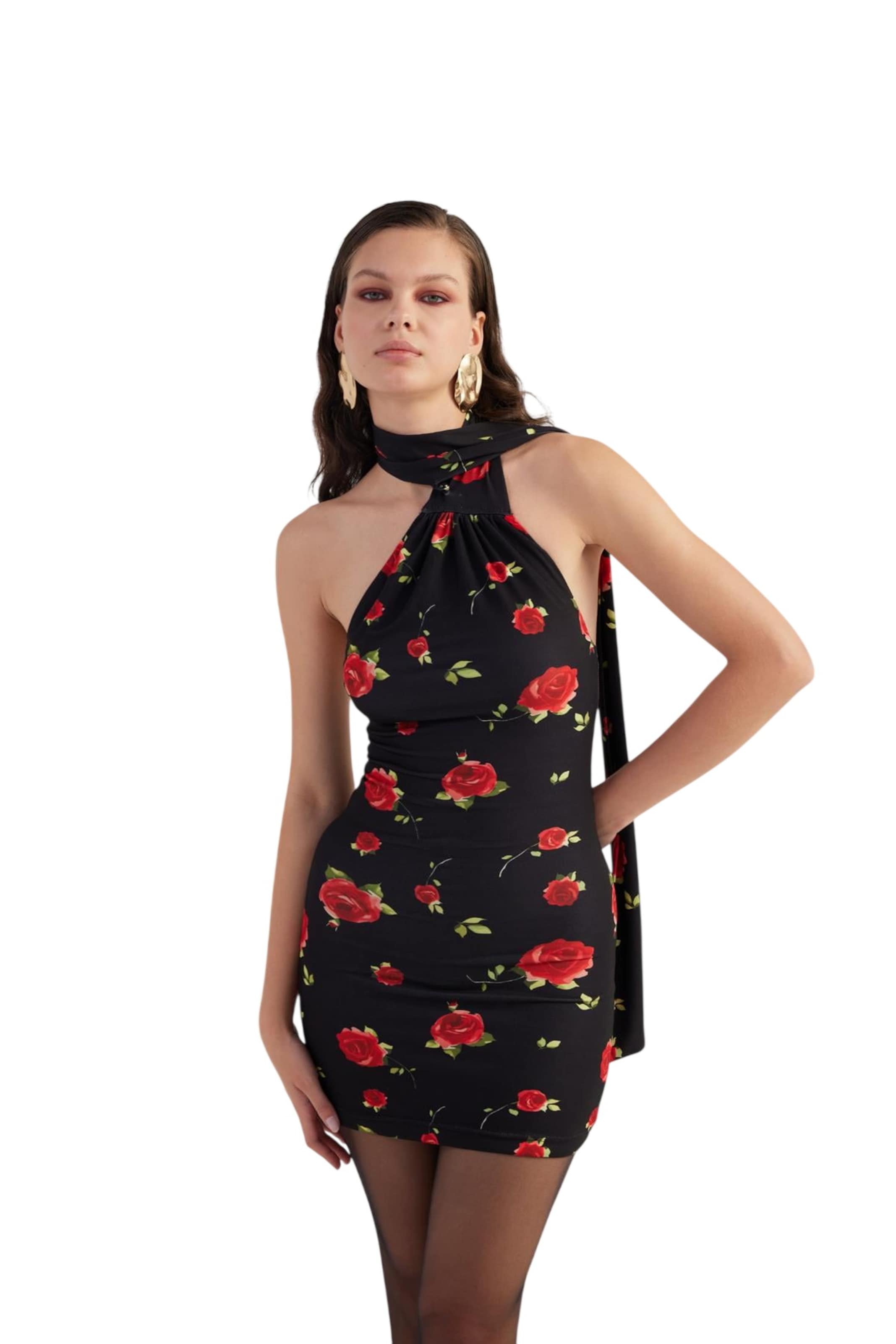 HOLLY LOLLY Dress in Black: front