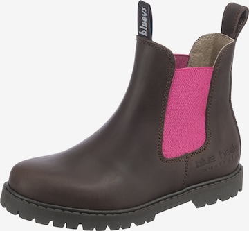 Blue Heeler Boots 'Jacaroo' in Brown: front