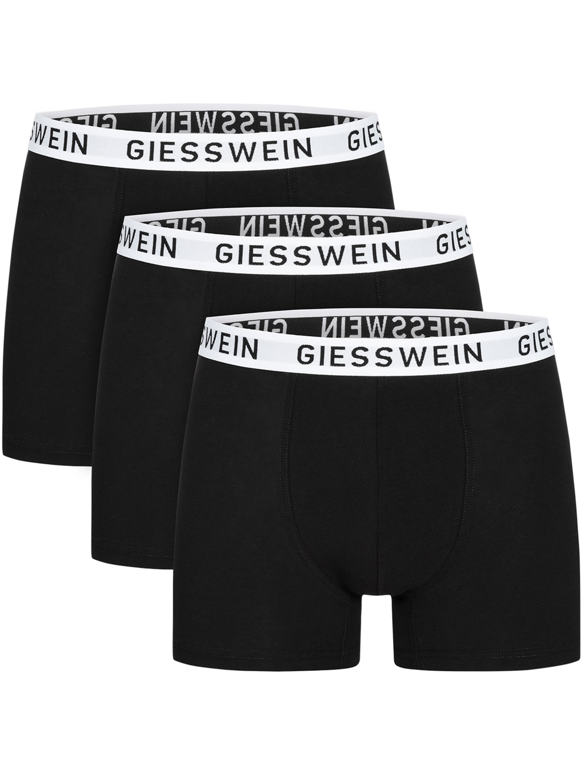 GIESSWEIN Boxer shorts in Black: front