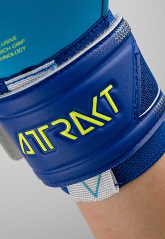 REUSCH Sporthandschoenen 'Attrakt Aqua' in Blauw