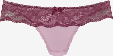 LASCANA Thong in Purple: front