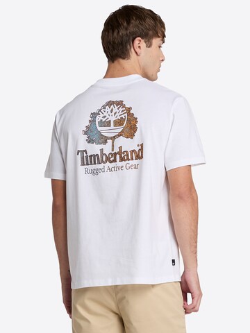 Maglietta di TIMBERLAND in bianco: frontale