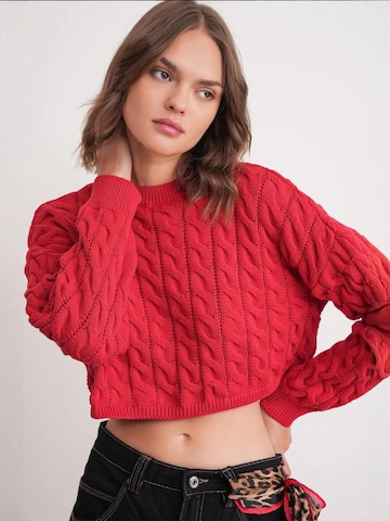 Pullover 'Pullover' di MixRay in rosso: frontale