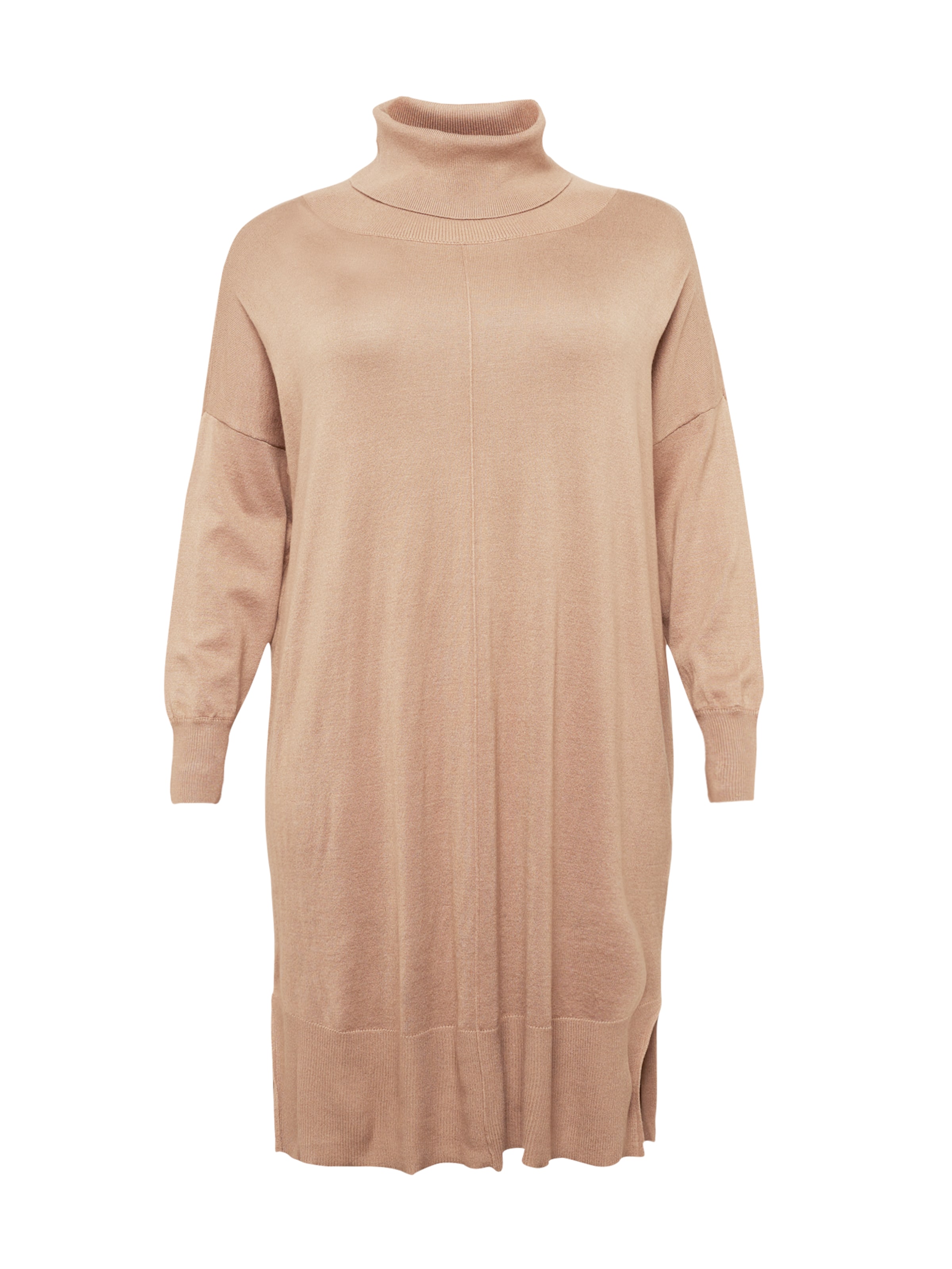 Fransa Curve Knit dress 'Alma' in Beige: front