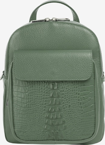 Cluty Backpack in Green: front