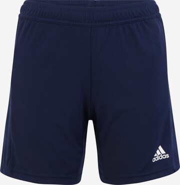 ADIDAS SPORTSWEAR Regular Workout Pants 'Team 19' in Blue: front