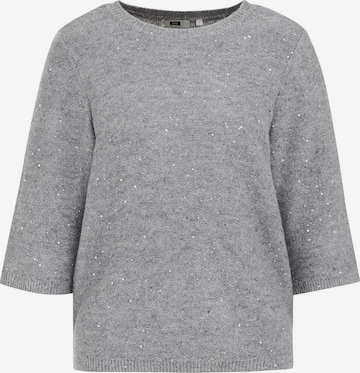 WE FashionPulover - siva boja: prednji dio