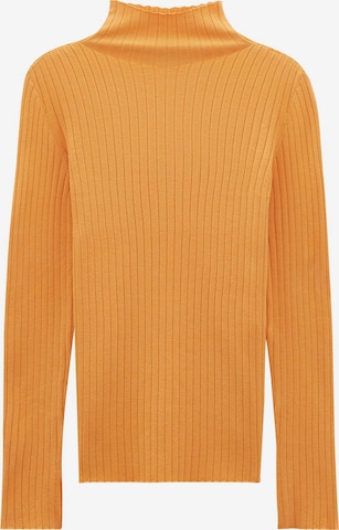 Someday Sweater 'Tippi' in Orange: front