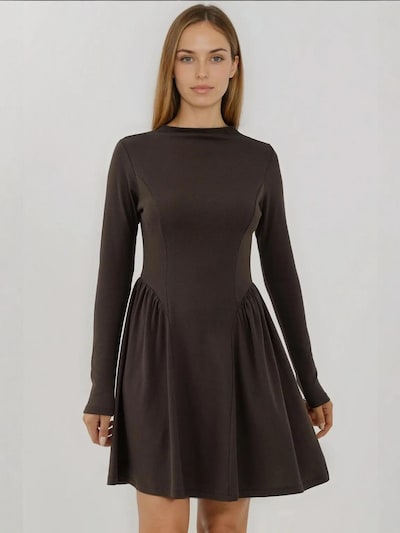 Hiccup Vestido 'Mini' em 36 em castanho, Vista do artigo