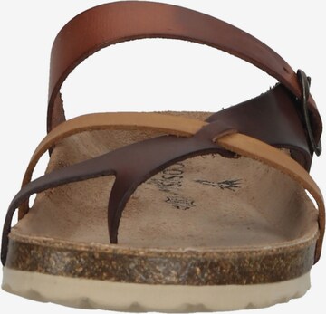 COSMOS COMFORT Mules in Brown