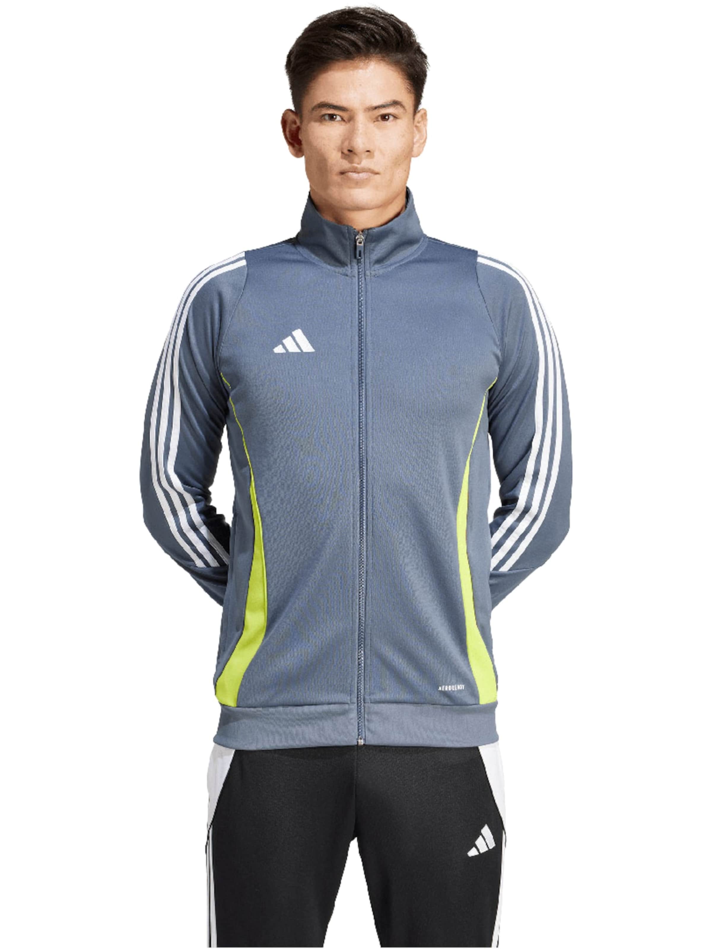 ADIDAS PERFORMANCE Sweatshirt 'Performance Tiro 2' in Grijs
