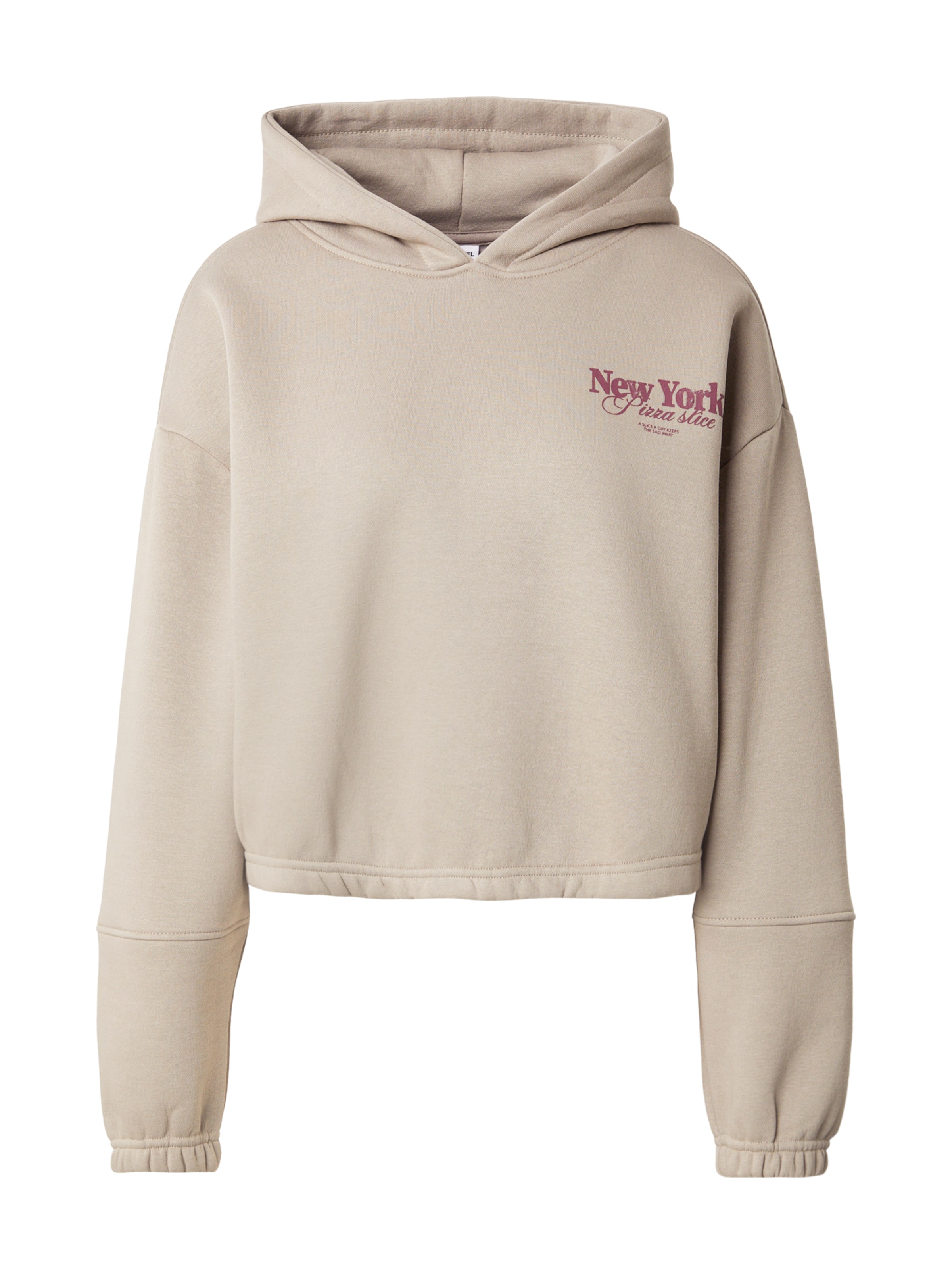 Sublevel Sweatshirt in Beige: front