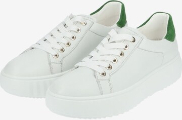 ARA Sneakers in White