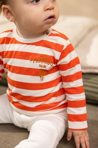 Noppies Shirt 'Ogaki' in Oranje